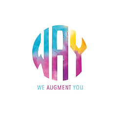 Way Experience logo